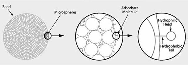 detergent-removal-bio Structure of Hydrophobic Macroreticular Resin Bead