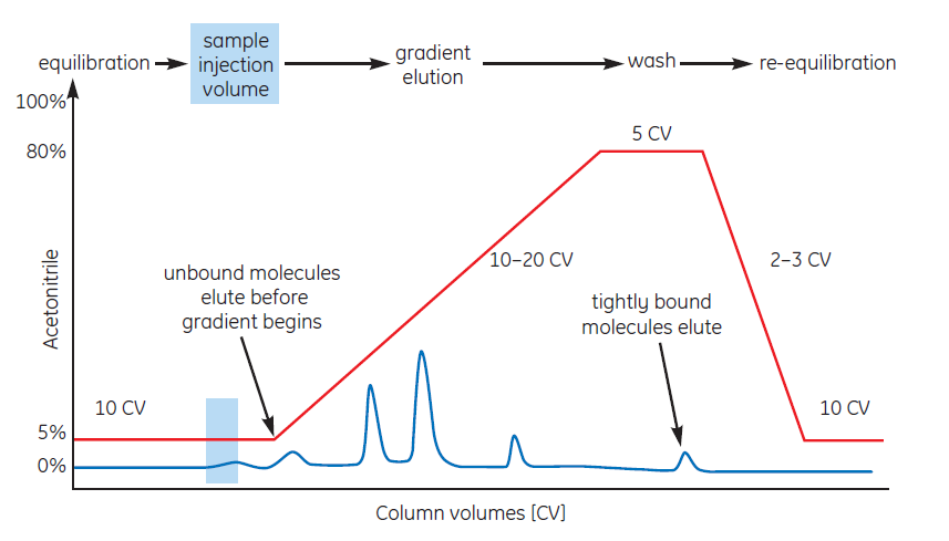 Typical RPC separation using gradient elution. Typical RPC separation using gradient elution