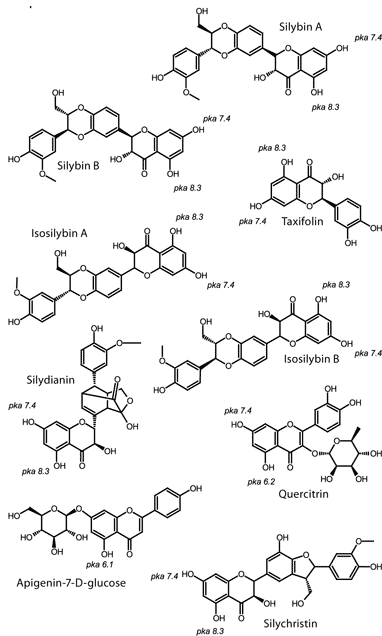 Structures of Known Biologically Active Silymarin Component