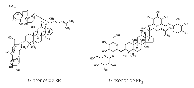 Chemical structures ginsenosides RB Chemical structures of the analyzed ginsenosides