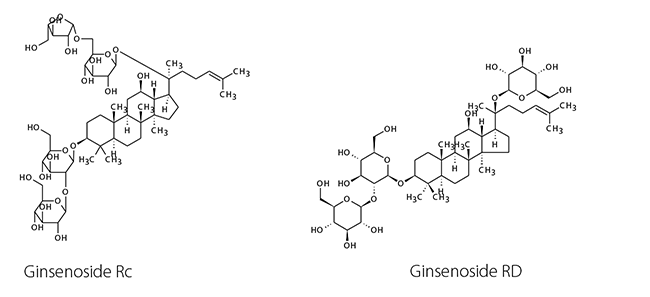 Chemical structures ginsenosides RC RD Chemical structures of the analyzed ginsenosides