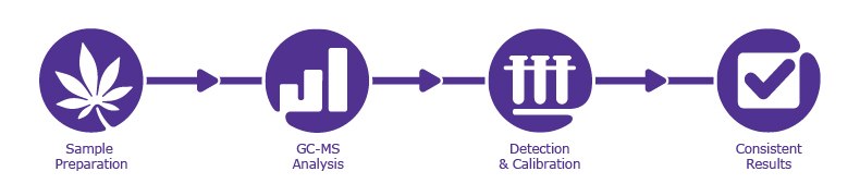 Workflow for the analysis of terpenes in Hemp and Cannabis Workflow for the analysis of terpenes in Hemp and Cannabis