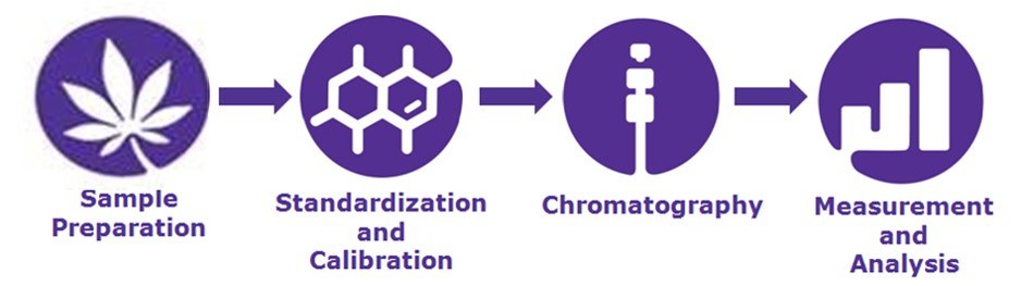 Workflow for cannabinoid analysis in hemp and cannabis Workflow for cannabinoid analysis in hemp and cannabis