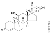 Structure of Hydrocortisone A molecular structure diagram of hydrocortisone, showing its chemical composition with labeled functional groups, including hydroxyl (OH) and carbonyl (C=O) groups, represented in a clear, organized layout.