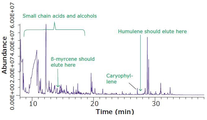 Headspace SPME-GC/MS Analysis of Dried Hops Flowers, Increased Sample Equilibration Temperature (DVB/CAR/PDMS Fiber, 0.2 g Sample) Headspace SPME-GC/MS Analysis of Dried Hops Flowers, Increased Sample Equilibration Temperature