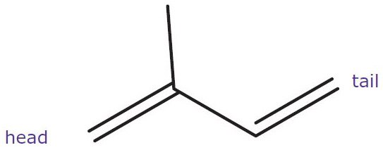 Isoprene Unit Isoprene Unit