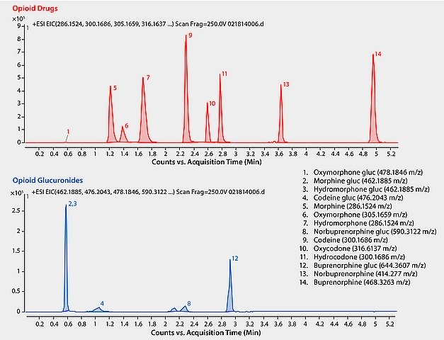 LC/MS Analysis of Opioid Glucuronide Metabolites in Urine on Ascentis® Express F5 after Solid Phase Extraction (SPE) using Supel™-Select HLB LC/MS Analysis of Opioid Glucuronide Metabolites in Urine