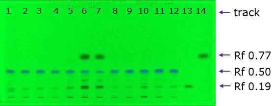 Developed plate at 254 nm Developed plate at 254 nm