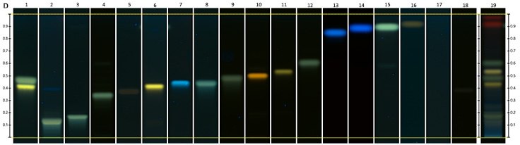 Chromatograms under UV Chromatograms under UV