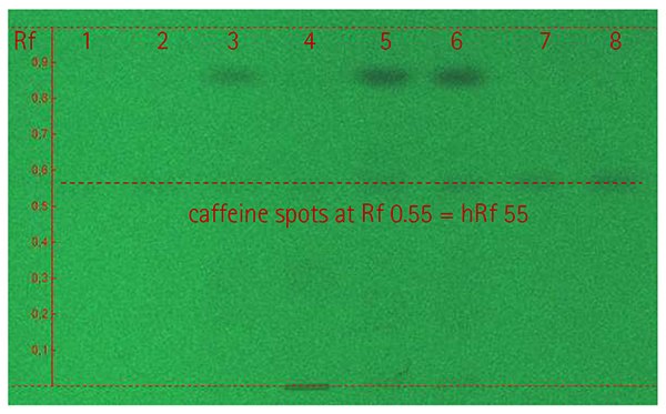 HPTLC plate with caffeine standard and energy drink samples under UV light (254 nm). HPTLC plate with caffeine standard and energy drink samples under UV light (254 nm).