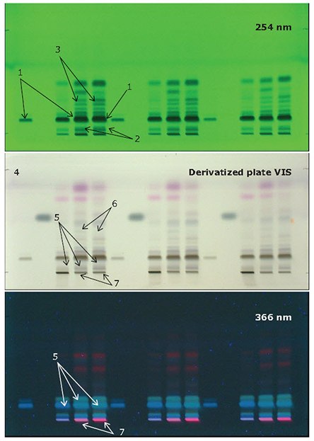 Identification of powdered black pepper by HPTLC as described in USP40-NF35. Identification of powdered black pepper by HPTLC as described in USP40-NF35.