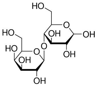 Lactose structure. Lactose structure - A chemical structure diagram of a molecule with two six-membered rings and one five-membered ring, each containing oxygen atoms as part of the ring structure. The rings are connected by oxygen atoms, forming an ether linkage. Multiple hydroxyl (OH) groups are attached to the rings, indicating the molecule is a polyhydroxy compound, likely a carbohydrate or sugar.