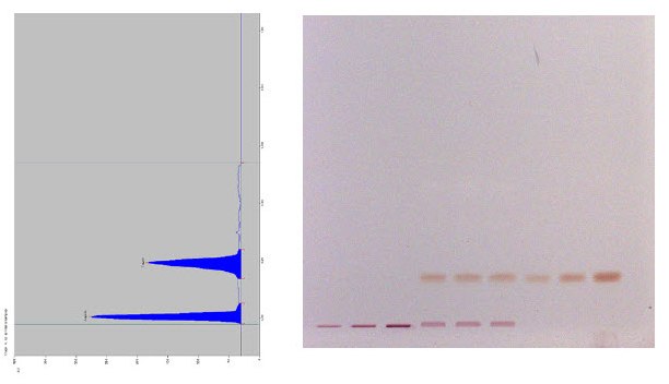Scan of track 6 at 600 nm and picture of the whole plate after derivatization under white Scan of track 6 at 600 nm and picture