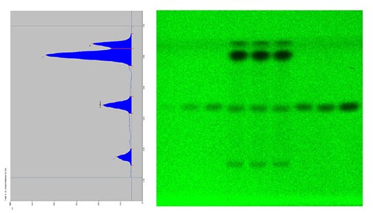 Scan of track 5 and picture of the whole plate at UV 254 nm Scan of track 5 and picture of the whole plate at UV 254 nm