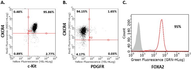 Endoderm differentiation of human iPS cells. Endoderm differentiation of human iPS cells. Flow cytometry analysis of human iPSC-derived definitive endoderm cells for endoderm markers demonstrates that cells are CXCR4+, c-Kit+, Sox-17+ , PDGFR- and FOXA2+ after four days of differentiation.