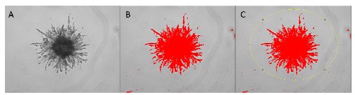 process-for-analysis Process for analysis of 3D invasion