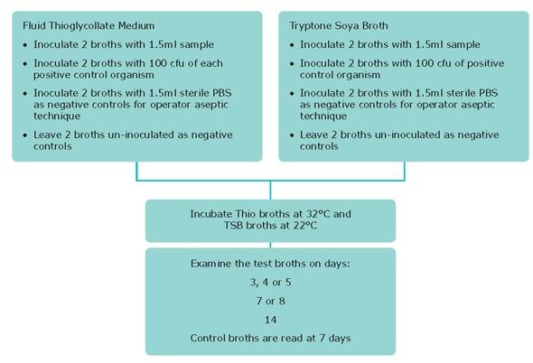 Testing Cells for Bacterial and Fungal Contamination Testing Cells for Bacterial and Fungal Contamination