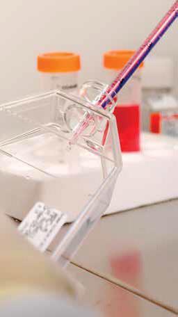 Sterile Handling of Cells Sterile Handling of Cells