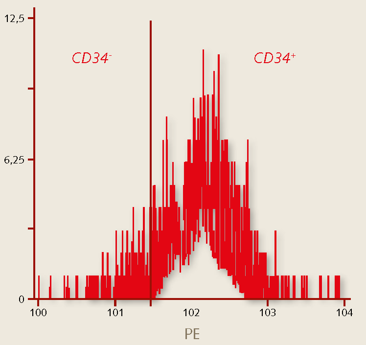 Characterization of human hematopoietic stem cells CD34 Characterization of human hematopoietic stem cells - CD34