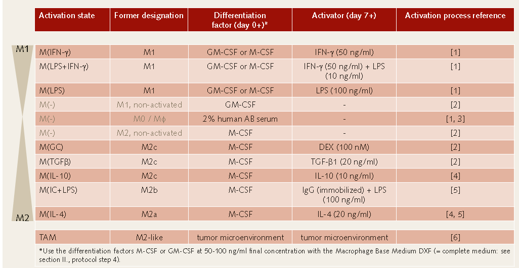 Macrophages table Macrophages table