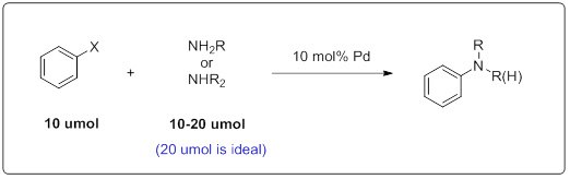 Two solvents (Dioxane, DMAc), strong base (NaOt-Bu) Step-by-Step Guide for Buchwald-Hartwig Amination Reaction Screening Kit Chemical reaction scheme for Buchwald-Hartwig Amination. The scheme shows a benzene ring with an X substituent reacting with NH2-R or NH2-R2 in the presence of 10 mol% Pd catalyst to form a benzene ring with an amine group (R-NH) attached. The reaction uses 10 umol of the benzene ring and 10-20 umol (20 umol is ideal) of the amine reactant.