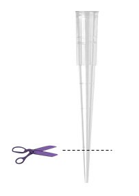 Two solvents (Dioxane, DMAc), strong base (NaOt-Bu) Step-by-Step Guide for Buchwald-Hartwig Amination Reaction Screening Kit A pair of purple scissors and a transparent pipette aligned vertically above and below a dashed horizontal line.