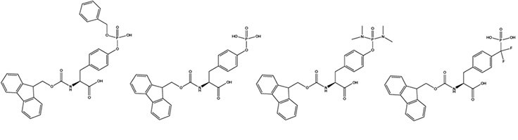 step-wise-synthesis-of-phosphotyrosine Step-wise synthesis of phosphotyrosine containing peptides