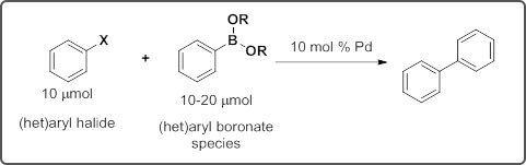 A schematic representation of a palladium-catalyzed cross-coupling reaction between an aryl halide and an aryl boronate species resulting in the formation of a single substituted benzene ring. A schematic representation of a palladium-catalyzed cross-coupling reaction between an aryl halide and an aryl boronate species resulting in the formation of a single substituted benzene ring.