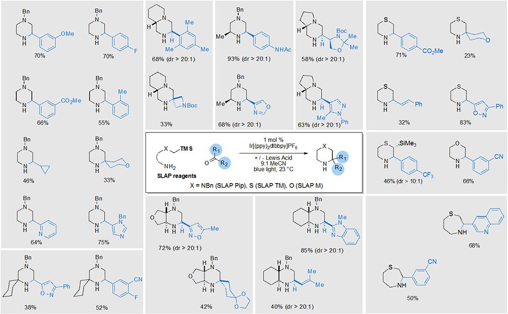 SLAP reagents and respective N-heterocycle product yields SiLicon Amine Protocol (SLAP) Reagents