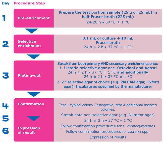 Procedure steps for Listeria monocytogenes and Listeria spp. detection according to the EN ISO 11290-1:2017 standard