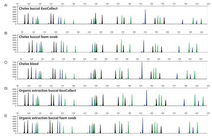A-O. STR profiles of DNA extracted from FTA cards A-O. STR profiles of DNA extracted from FTA cards