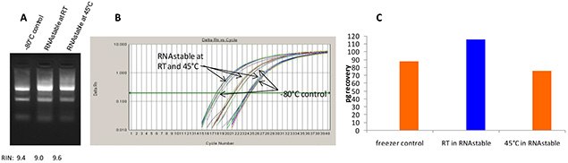 RNAstable® graphs