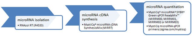 microRNA Workflow microRNA Workflow