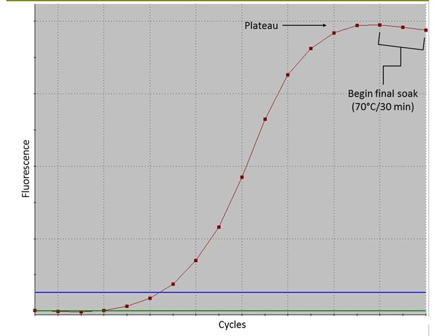qPCR Slide qPCR Slide