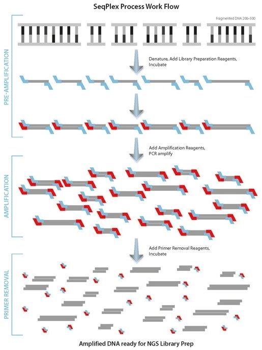 SeqPlex Process Workflow SeqPlex Process Workflow