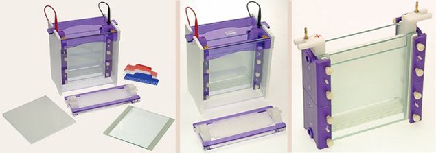 Vertical Electrophoresis System Vertical Electrophoresis System
