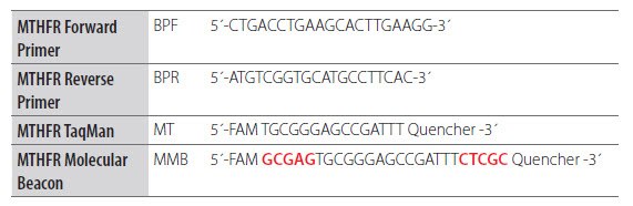 Adaptation of a Dual-Labeled Probe Assay to a Molecular Beacon Format. Nucleic acids research by Oxford University Press. Reproduced with permission of Oxford University Press in the format reuse in a book/e-book via Copyright Clearance Center. Adaptation of a Dual-Labeled Probe Assay to a Molecular Beacon