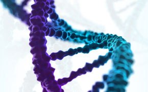DNA oligo double helix