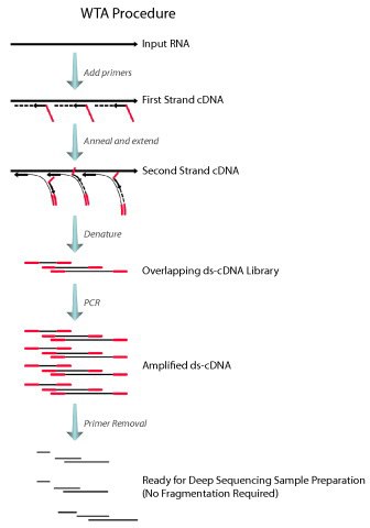 seqr-wta-procedure seqr-wta-procedure
