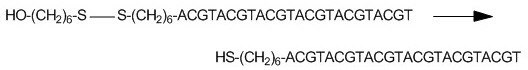 Oligo Reduction Example disulfide bond reduction of a 5'-Thiol-Modifier C6 S-S oligonucleotide.