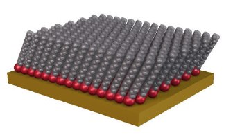 Schematic showing an ordered self-assembled monolayer of densely packed alkane thiols. Schematic showing an ordered self-assembled monolayer