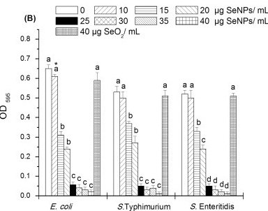 Antimicrobial effect of SeNPs against 3 gram-negative food borne pathogens Antimicrobial effect of (0, 5, 10, 15, 20, 25, 30, 35 and 40 µg/mL) SeNPs against 3 gram-negative food borne pathogens.