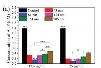 ATP level of S. aureus with different sizes of SeNPs ATP level of S. aureus with different sizes of SeNPs.