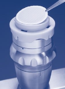 micropresure lifting the membrane Using tweezers, transfer the membrane to a media plate and incubate.