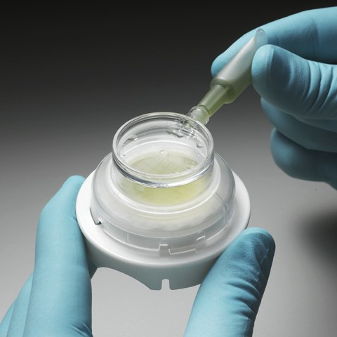 micropresure liquid media broth and remove any excess with a syringe, then incubate the device