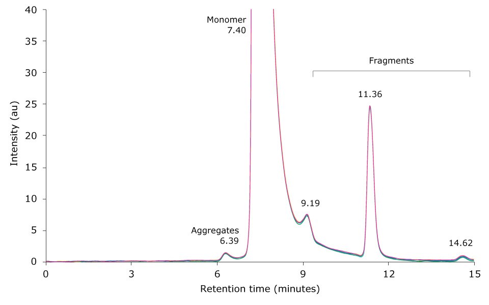 Overlay of SEC secondary peak Overlay of SEC-UV traces of six consecutive runs of an unstressed mAb sample zoom-in.
