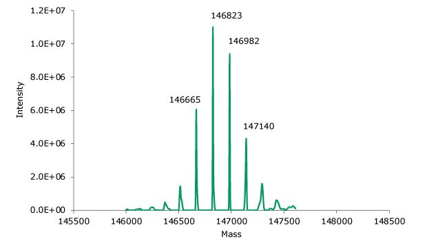 Deconvoluted mass spectrum of non-reduced SigmaMAb reference. Deconvoluted mass spectrum of non-reduced SigmaMAb reference