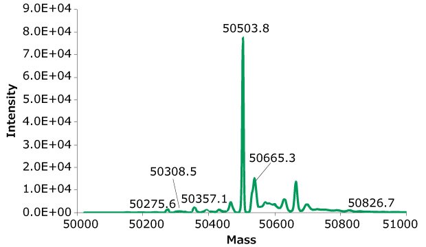 Exemplary deconvoluted SEC-MS spectra of rituximab from clones 27. The MS peak annotations correspond to glycoform glycans listed in <b>Table 7</b> and <b>Table 8</b>. Exemplary deconvoluted SEC-MS spectra of rituximab from clones 27. The MS peak annotations correspond to glycoform glycans listed in Tables 7 and 8.