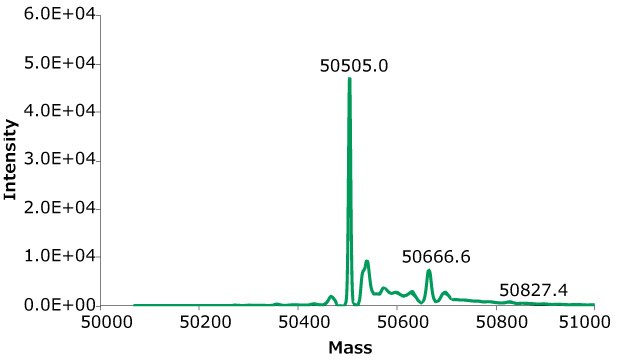 Exemplary deconvoluted SEC-MS spectra of rituximab from clones 8. The MS peak annotations correspond to glycoform glycans listed in <b>Table 7</b> and <b>Table 8</b>. Exemplary deconvoluted SEC-MS spectra of rituximab from clones 8. The MS peak annotations correspond to glycoform glycans listed in Tables 7 and 8.