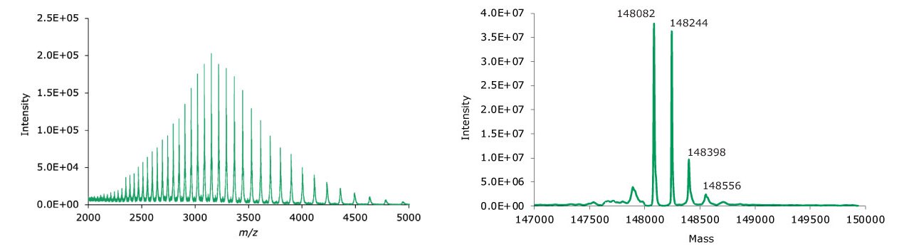 MS data for non-reduced adalimumab. Left: summed spectrum; right: deconvoluted spectrum. MS data for non-reduced adalimumab. Left: summed spectrum; right: deconvoluted spectrum.
